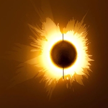 PK LED Parete 21 Or : cliquez sur l’image pour voir les détails du produit